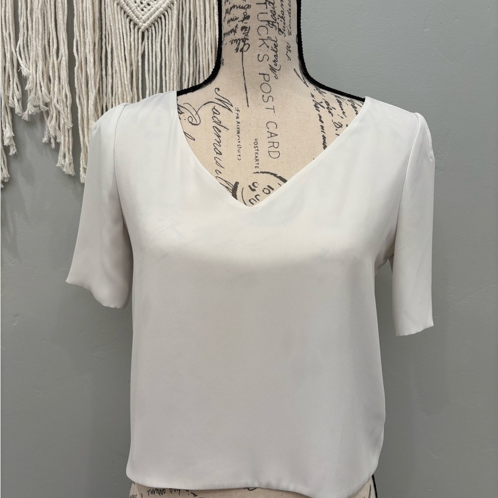 Babaton White V-Neck Blouse